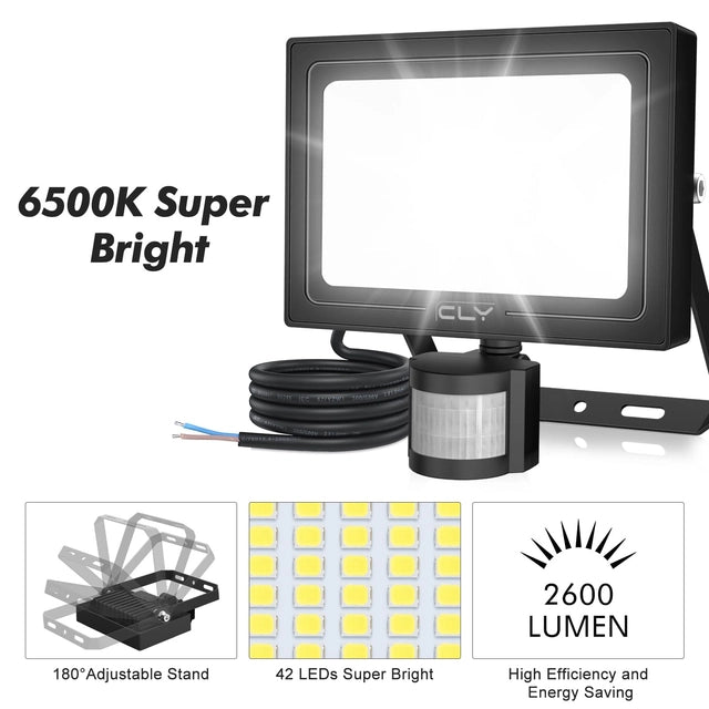 CLY 80W Security Light with Outdoor 12m Motion Sensor, Cold White, IP66, Black
